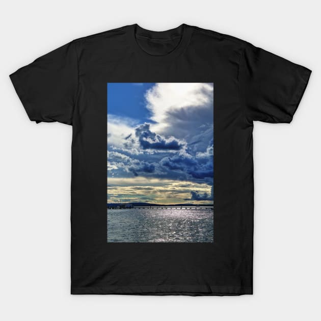 Lake Constance upcoming thunder storm T-Shirt by holgermader
